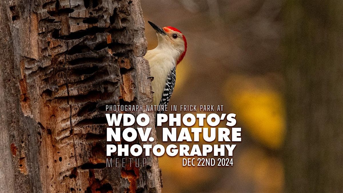 Pittsburgh Nature Photography Meetup - Dec 2024