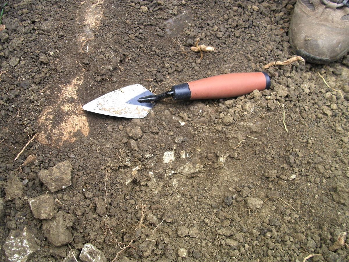 Discoveries at the Swimming Baths site on Kenilworth Abbey Fields by Bryn Gethin