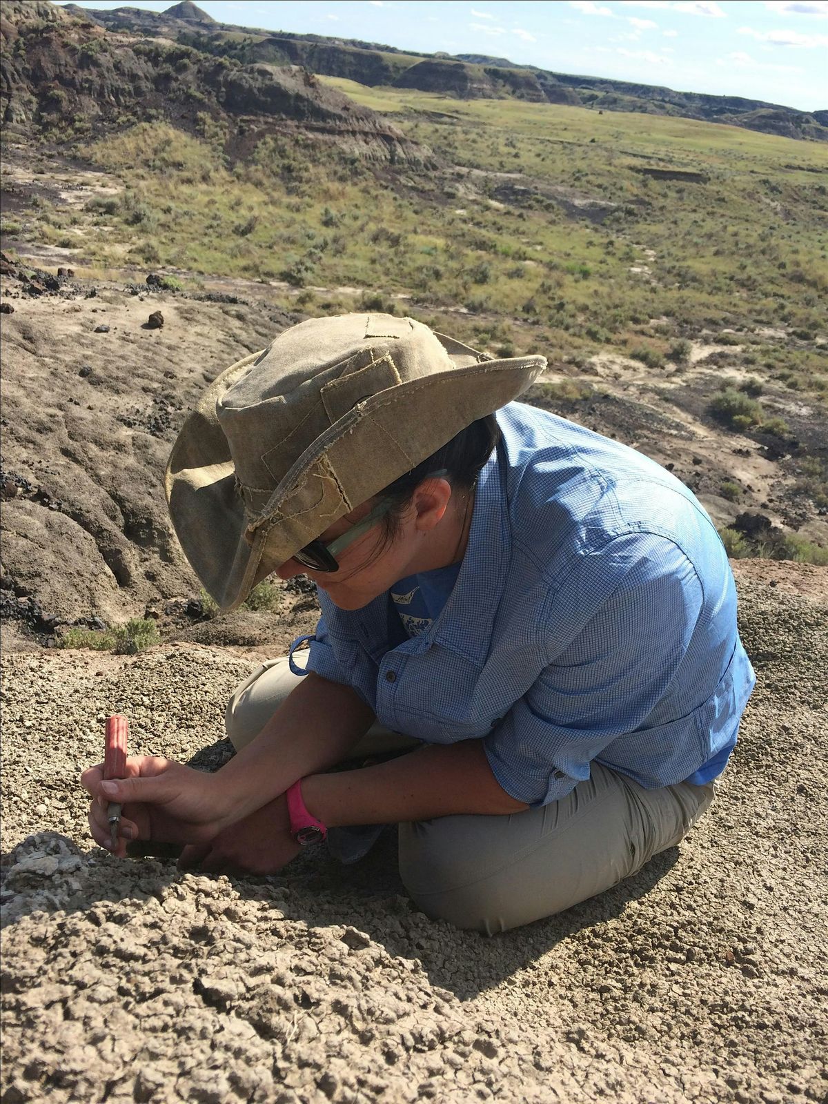 Trilobites and Treats: The History of Life in the Paleozoic Era