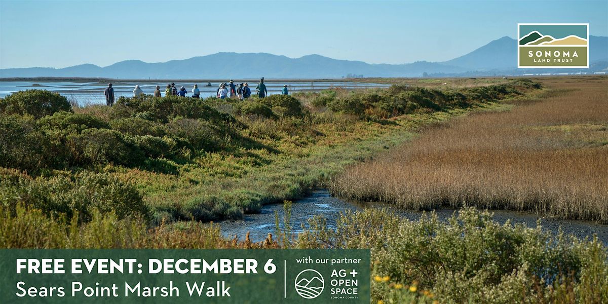 Sears Point Marsh Walk 12-6-25