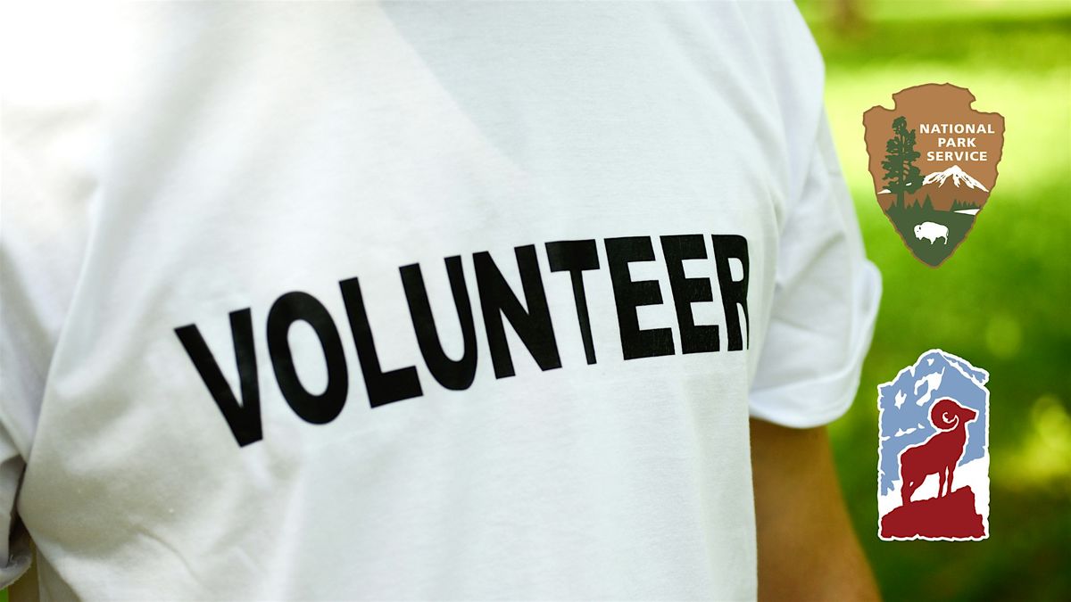 Willow Volunteer Day at RMNP