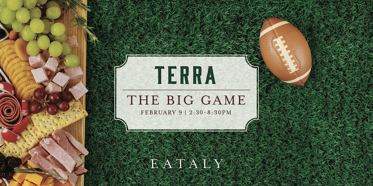 The Big Game at Terra Rooftop