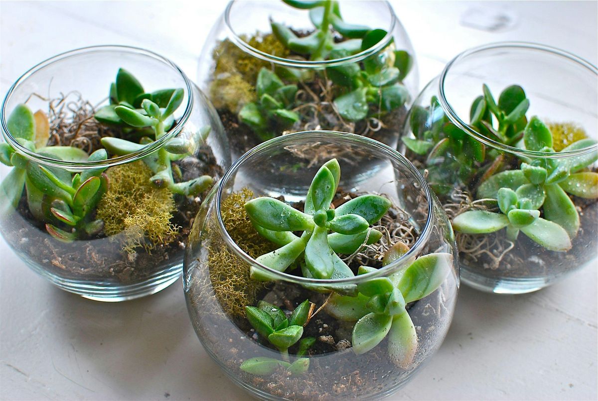Terrarium Workshop By Weber's Nursery @ The Tasting Room