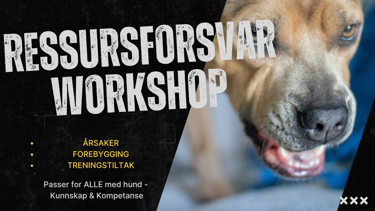 Ressursforsvar - Workshop UTEN hund