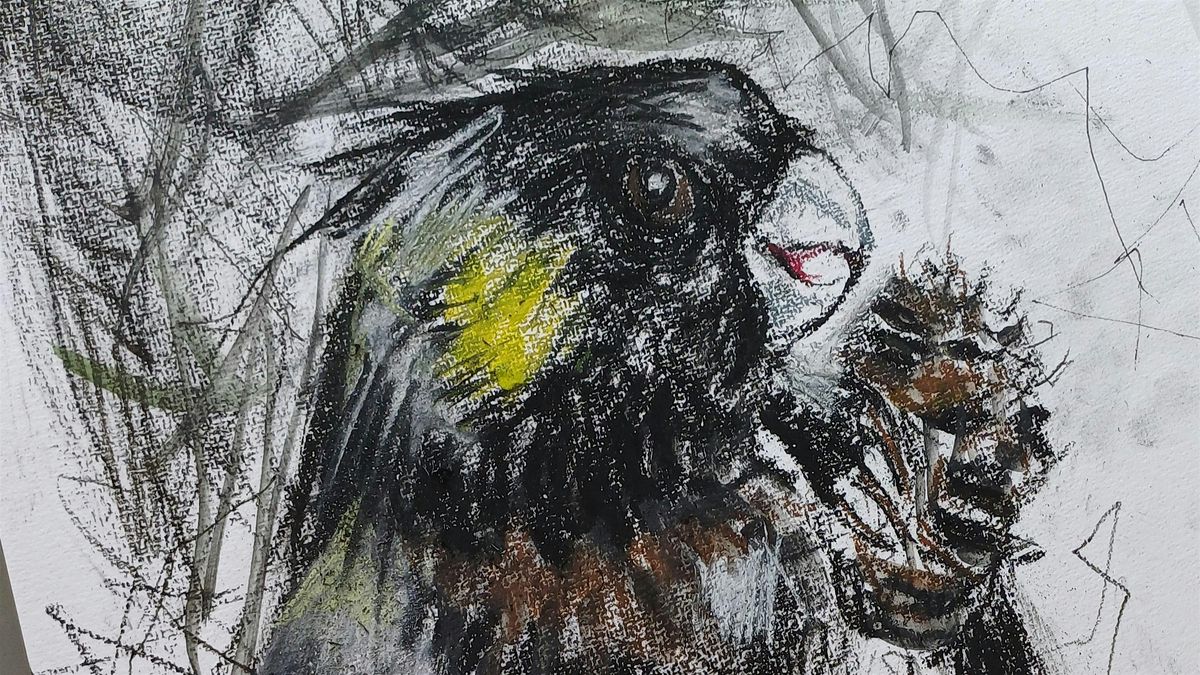 Expressive Drawing \u2013 Black Cockatoo- With Fiona Boxall