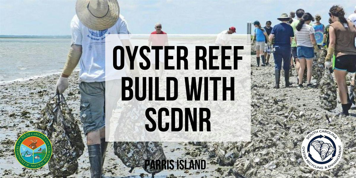 Oyster Reef Build