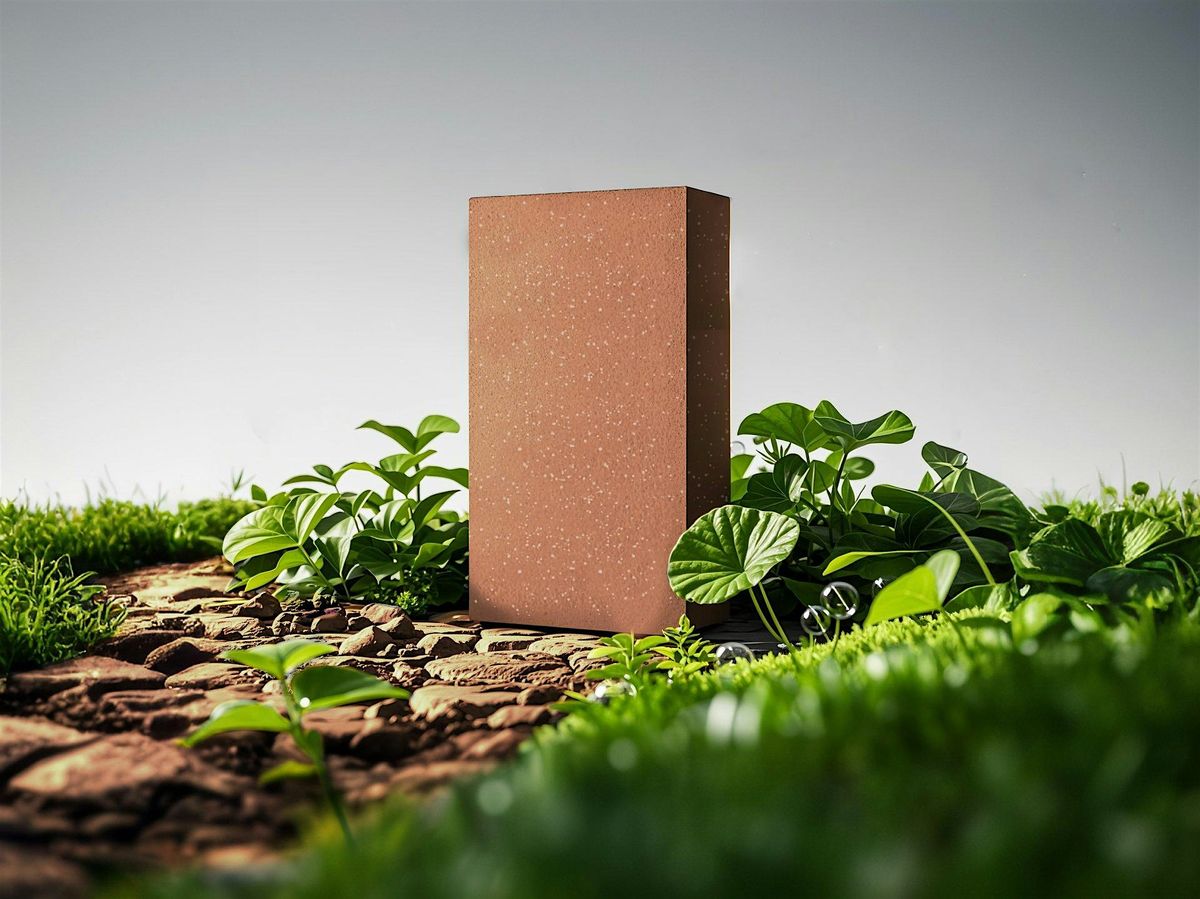 earth4Earth CPD and Networking event - Carbon Capture bricks