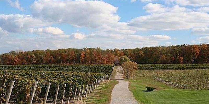 Tasting of Old Vine Wines from around the World