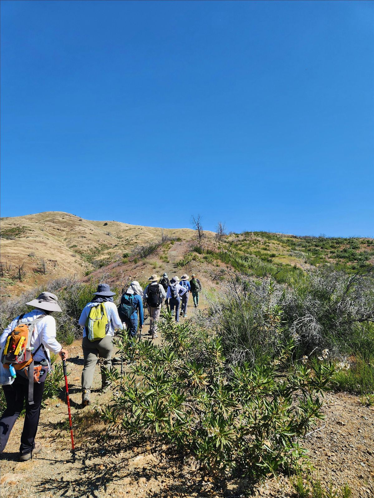 Exploratory Hike - Del Puerto Canyon