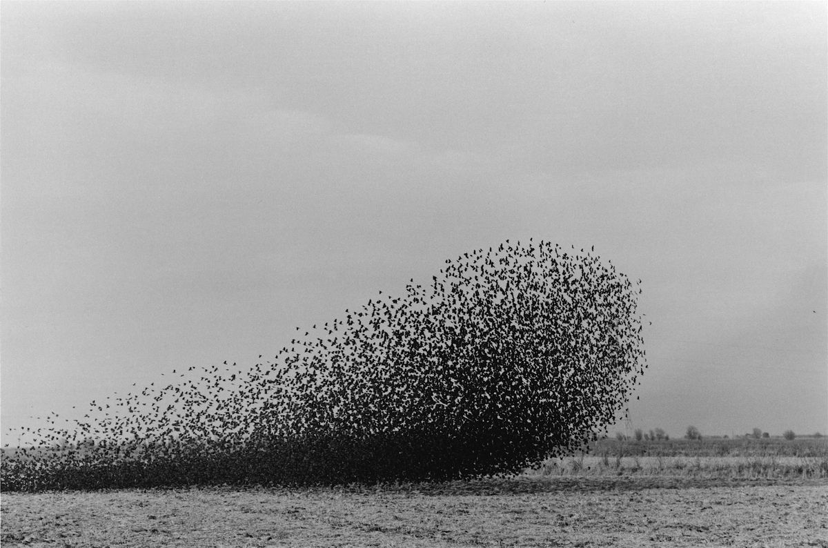 Artist Lecture: Lukas Felzmann & Yulia Pinkusevich