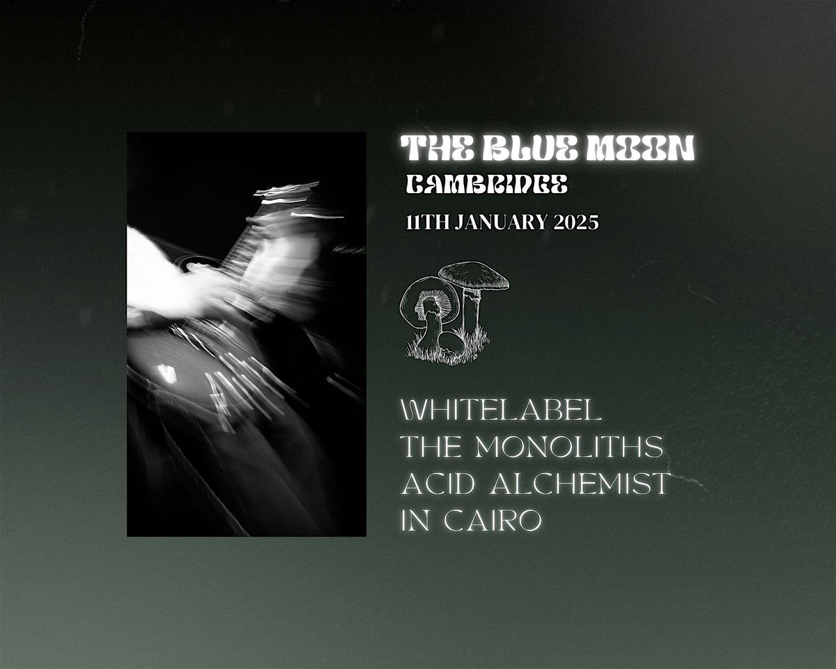 Whitelabel Presents: The Monoliths, Acid Alchemist, In Cairo