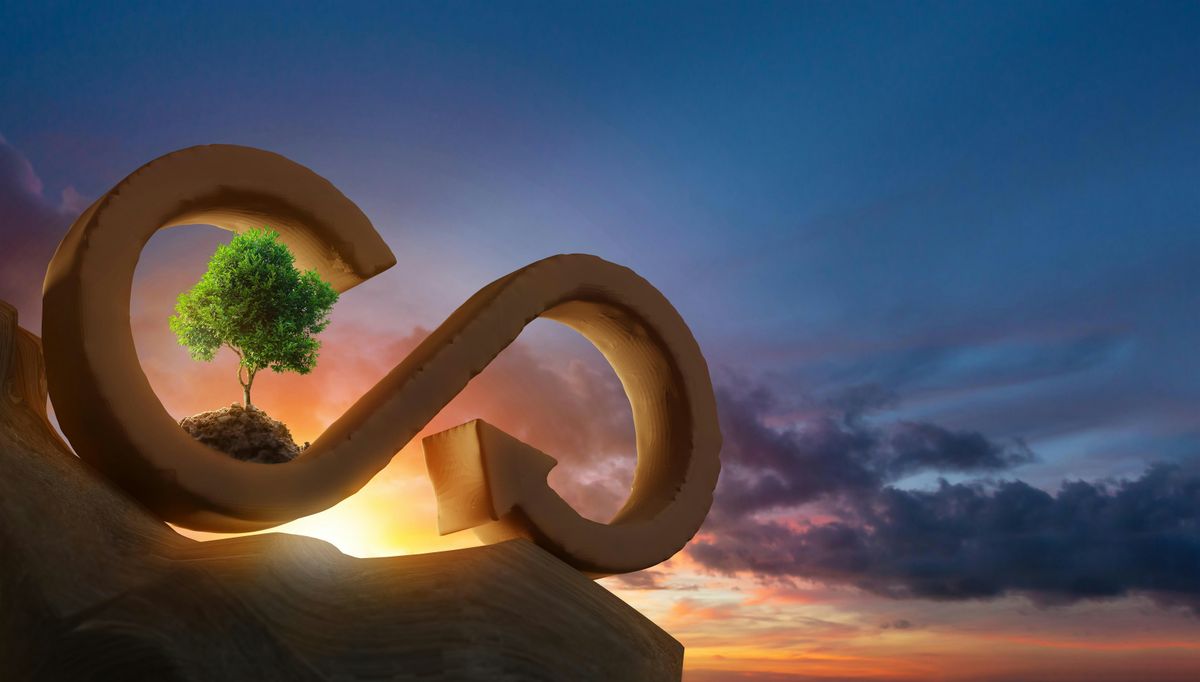 The Sacred Cycle: Faith, Consumption, and Our Ecological Future