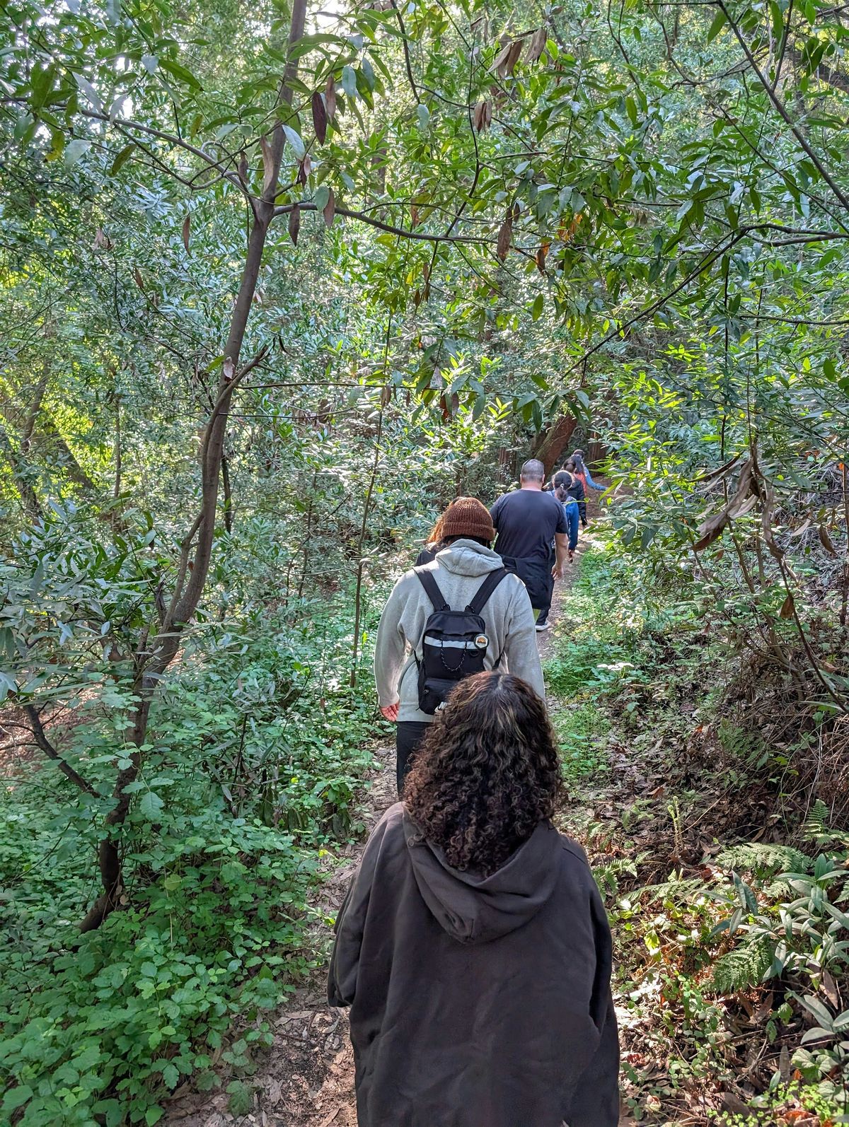 New year 2026 hike by Mindful Movement