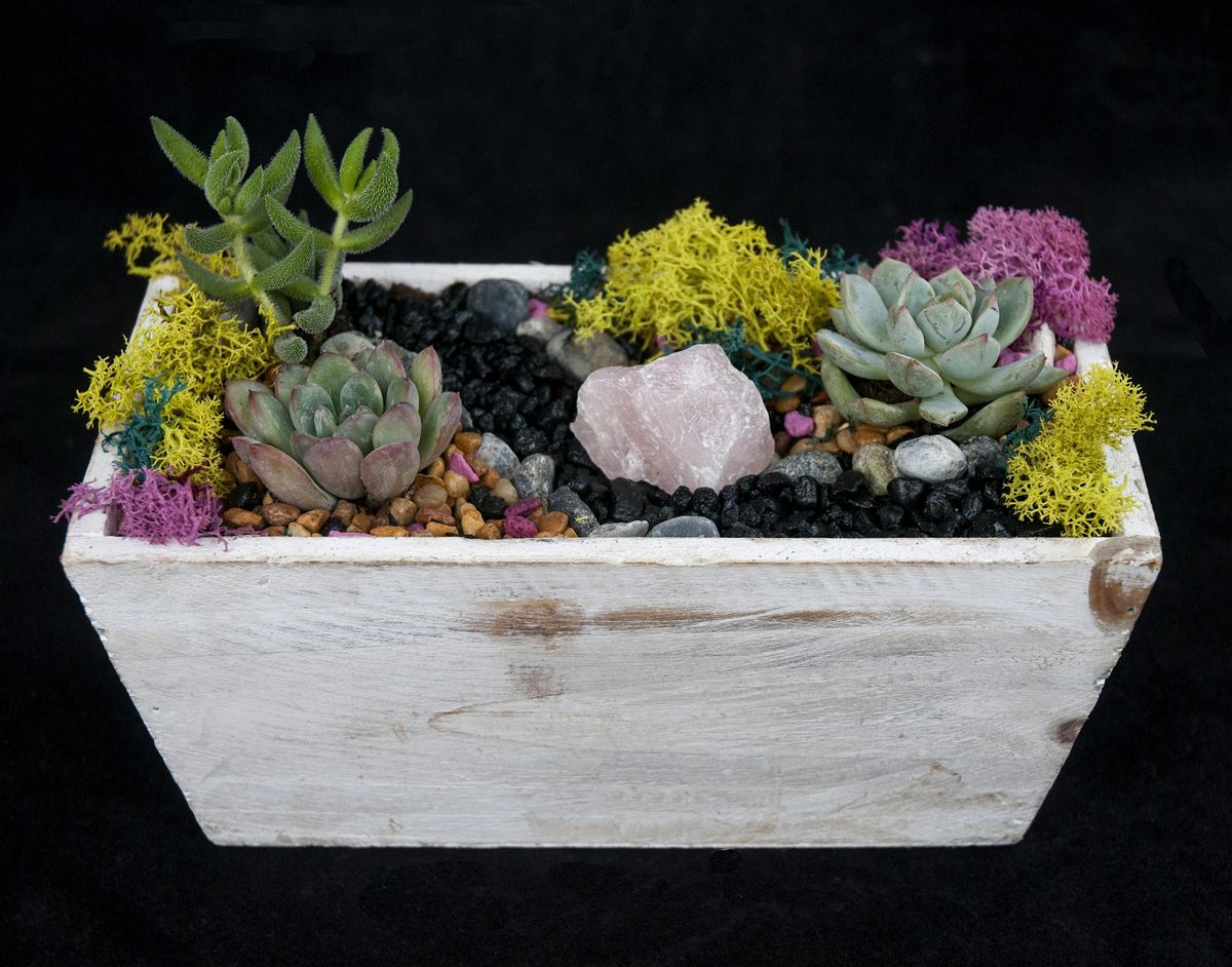 Family Plant Party: Make a Succulent Terrarium