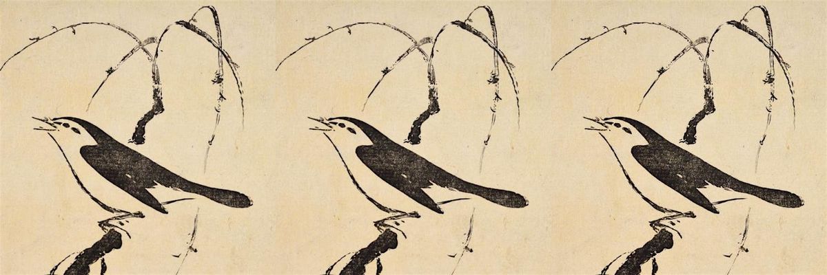 Going Birding with Hudson Park Library