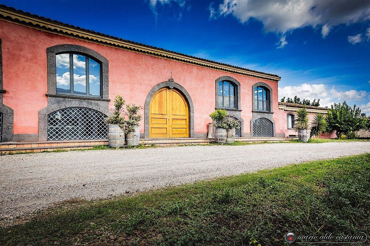 The Wines of Tenuta Terre Nere