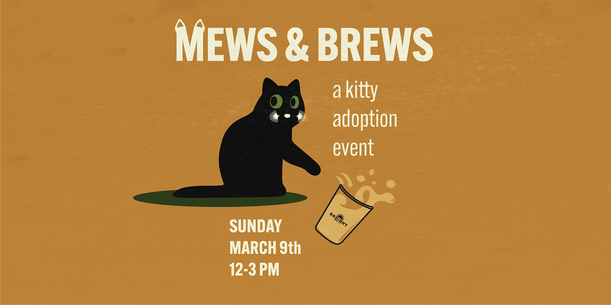 Mews and Brews Cat Adoption Event