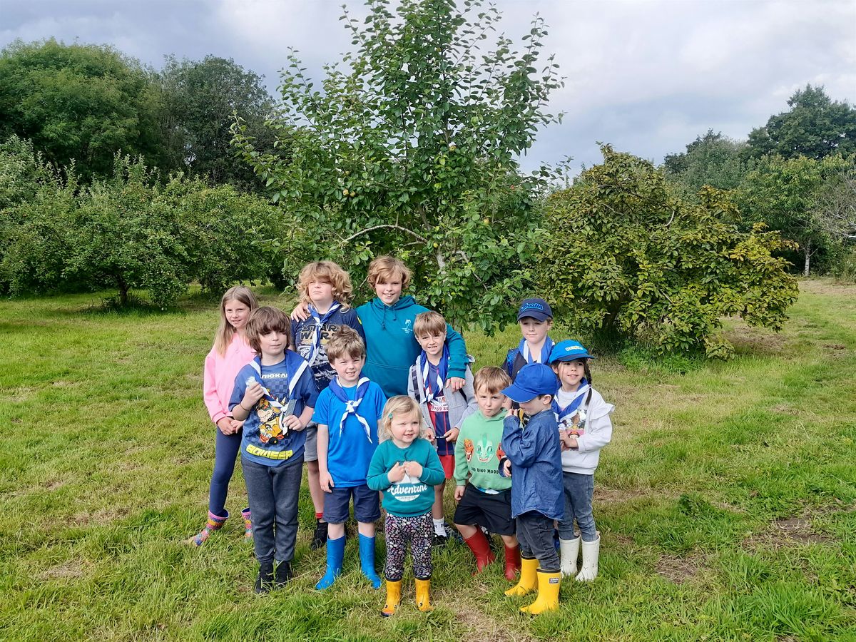 Forest Farm Tree and Wildlife Surveying (Family Friendly)