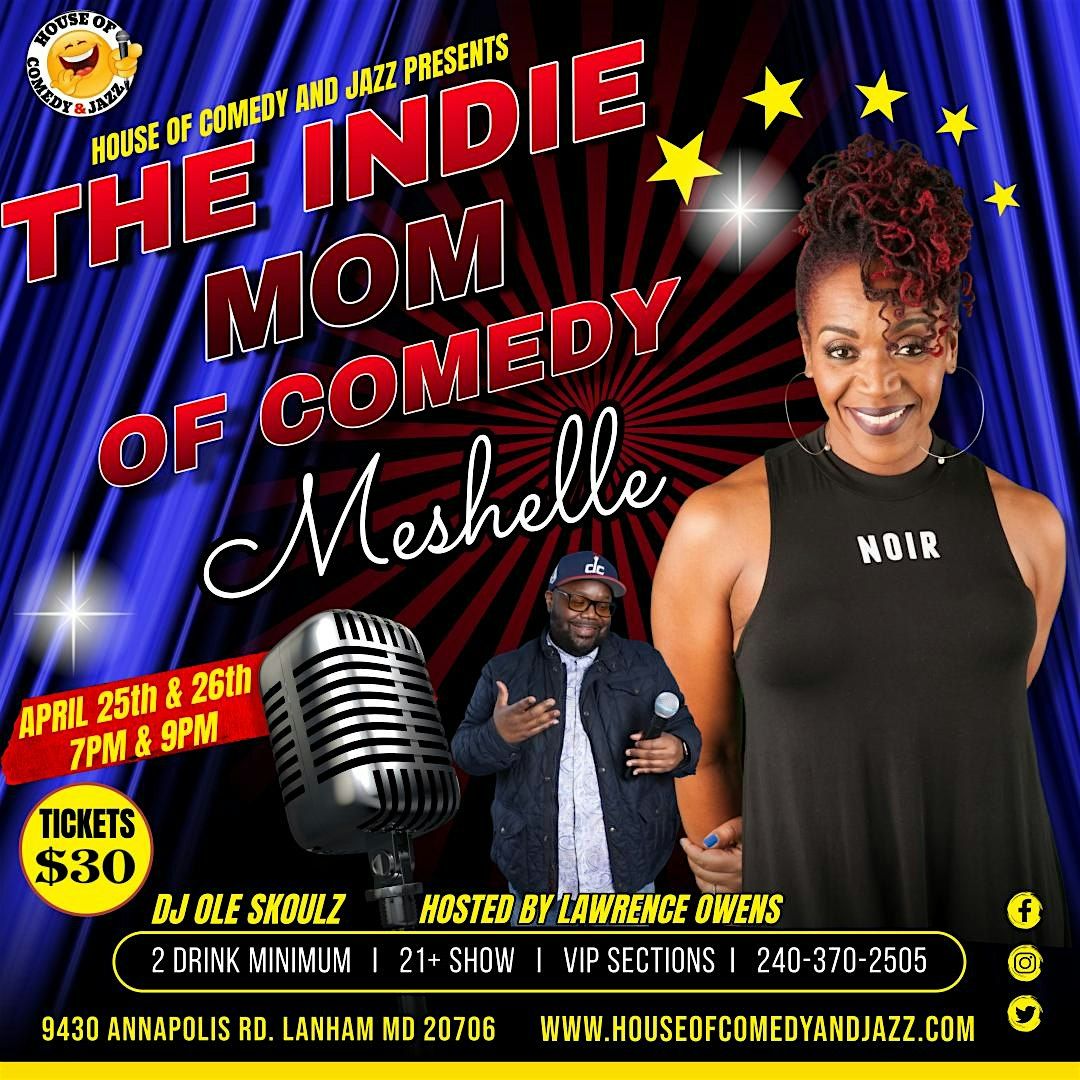 THE INDIE MOM OF COMEDY MESHELLE