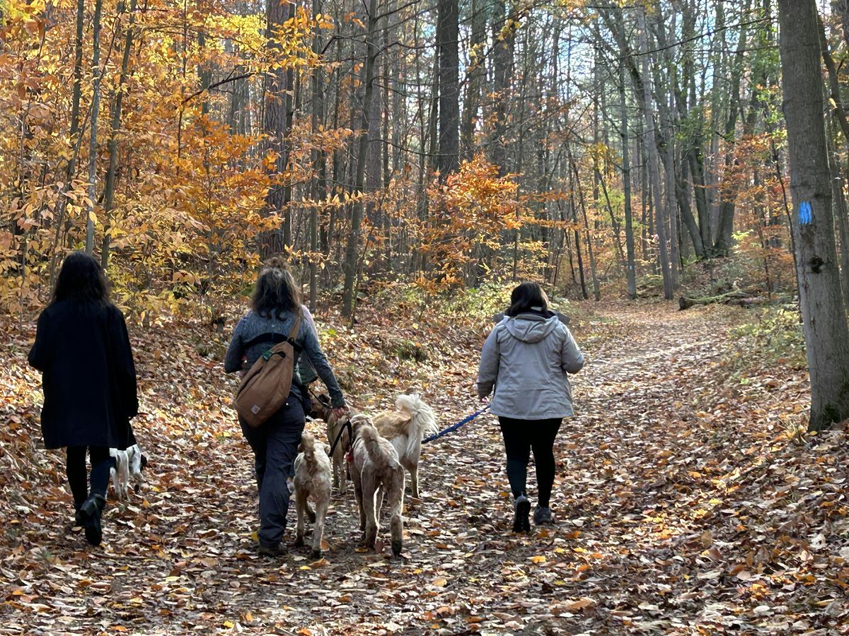 SWSCD Women and Dogs Circle Community Hike for Women and their Dogs