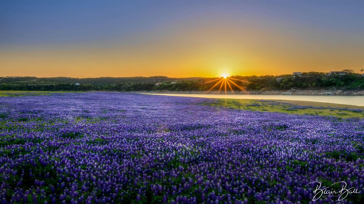 Texas Bluebonnets Photo Workshop