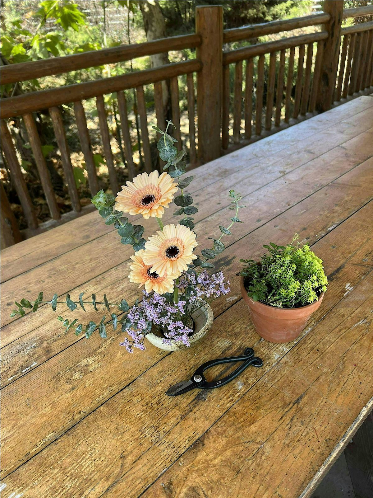 Therapeutic Horticulture & Tiger Blossom