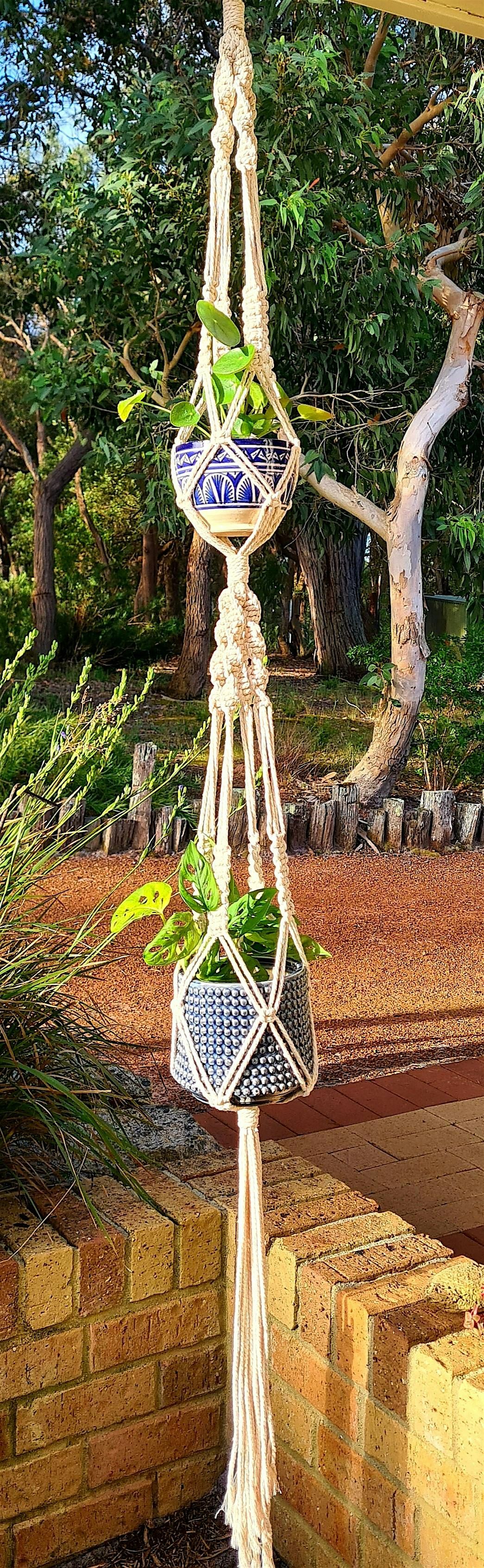 Textile Combo: hand dyed cotton scarf and macrame plant hanger