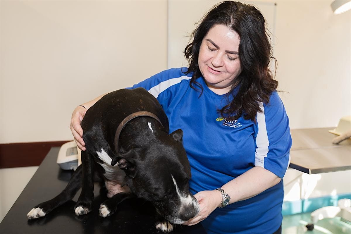 Veterinary Nursing Courses Open Day: Wed 11th March: 12pm, 4pm, 6pm