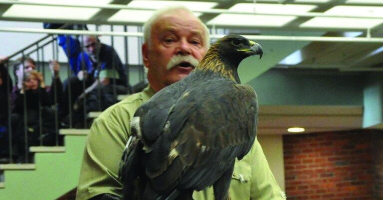 Birds of Prey with Tom Ricardi