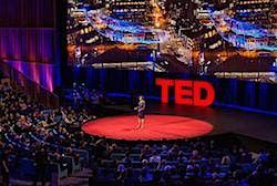 TEDX-EULESS:Hidden in Plain Sight