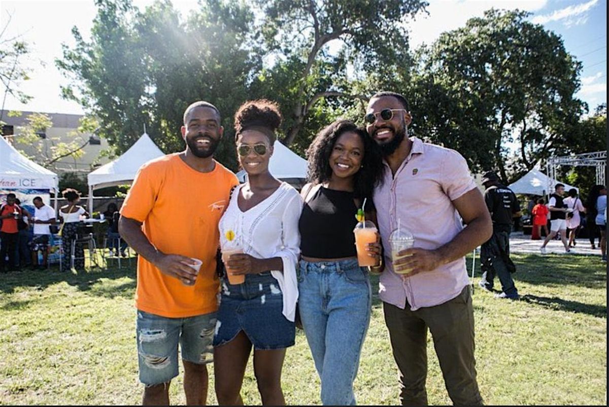 2ND Annual DC Soulfull Vegan Festival