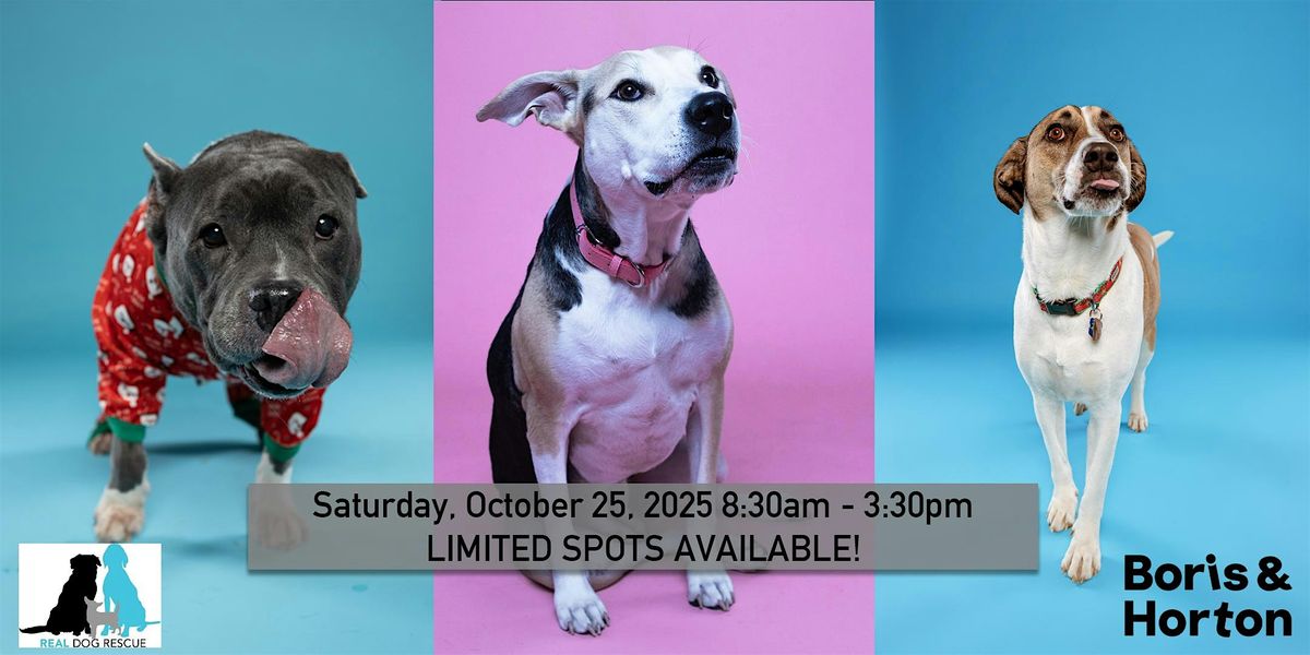 Boris & Horton x James Saverio Photo: Dog Portrait Day