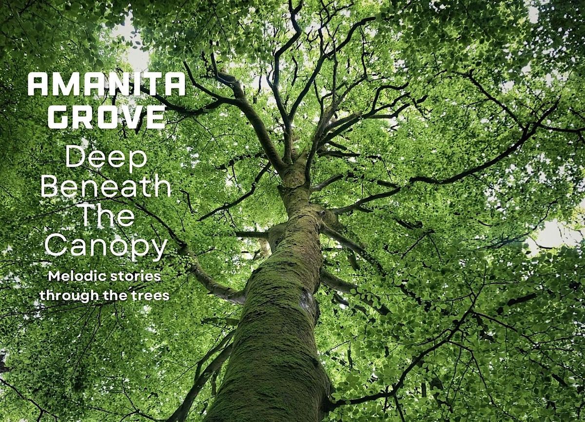 Amanita Grove Presents 'Deep Beneath The Canopy' + Elemental Meditation