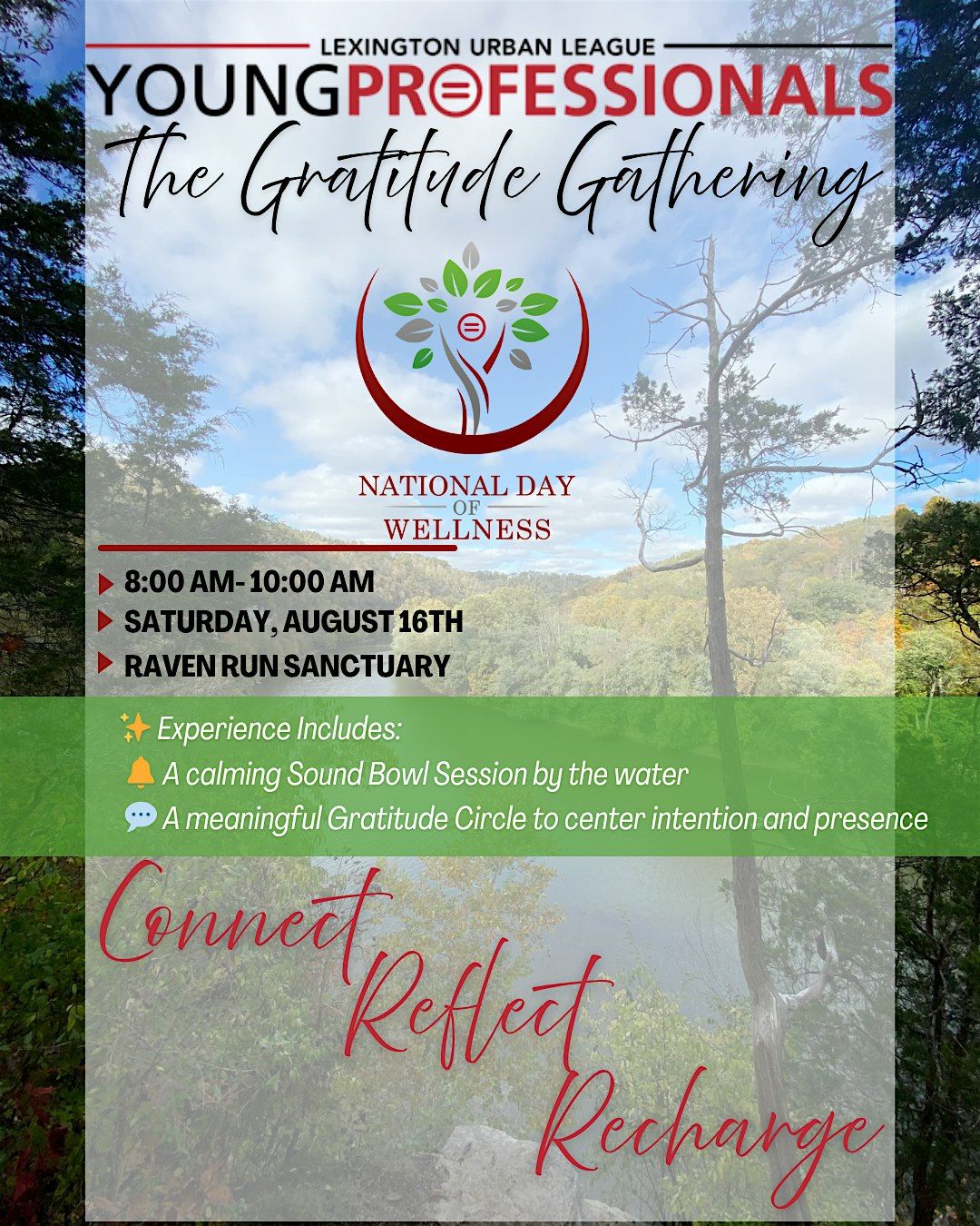 YPinLex: The Gratitude Gathering