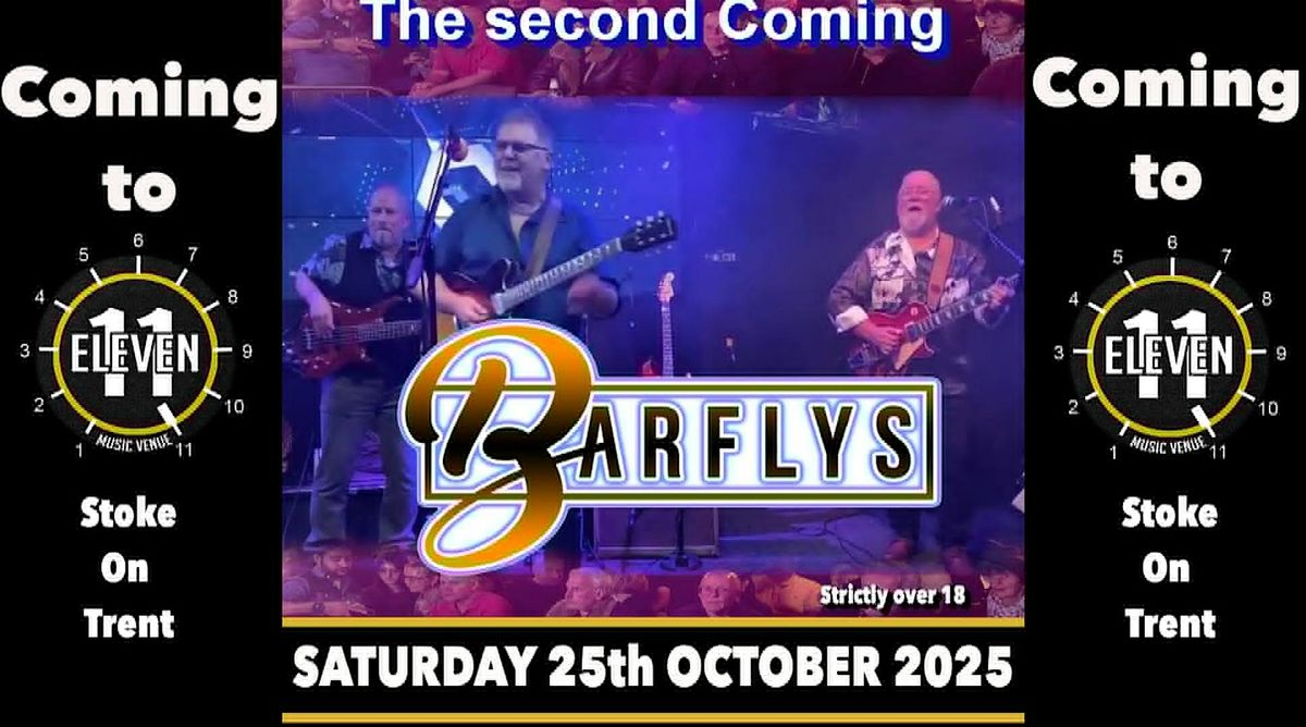 THE BARFLYS