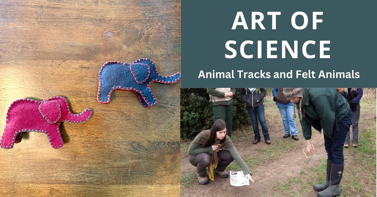 Art of Science: Animal Track and Plush Felt Animals