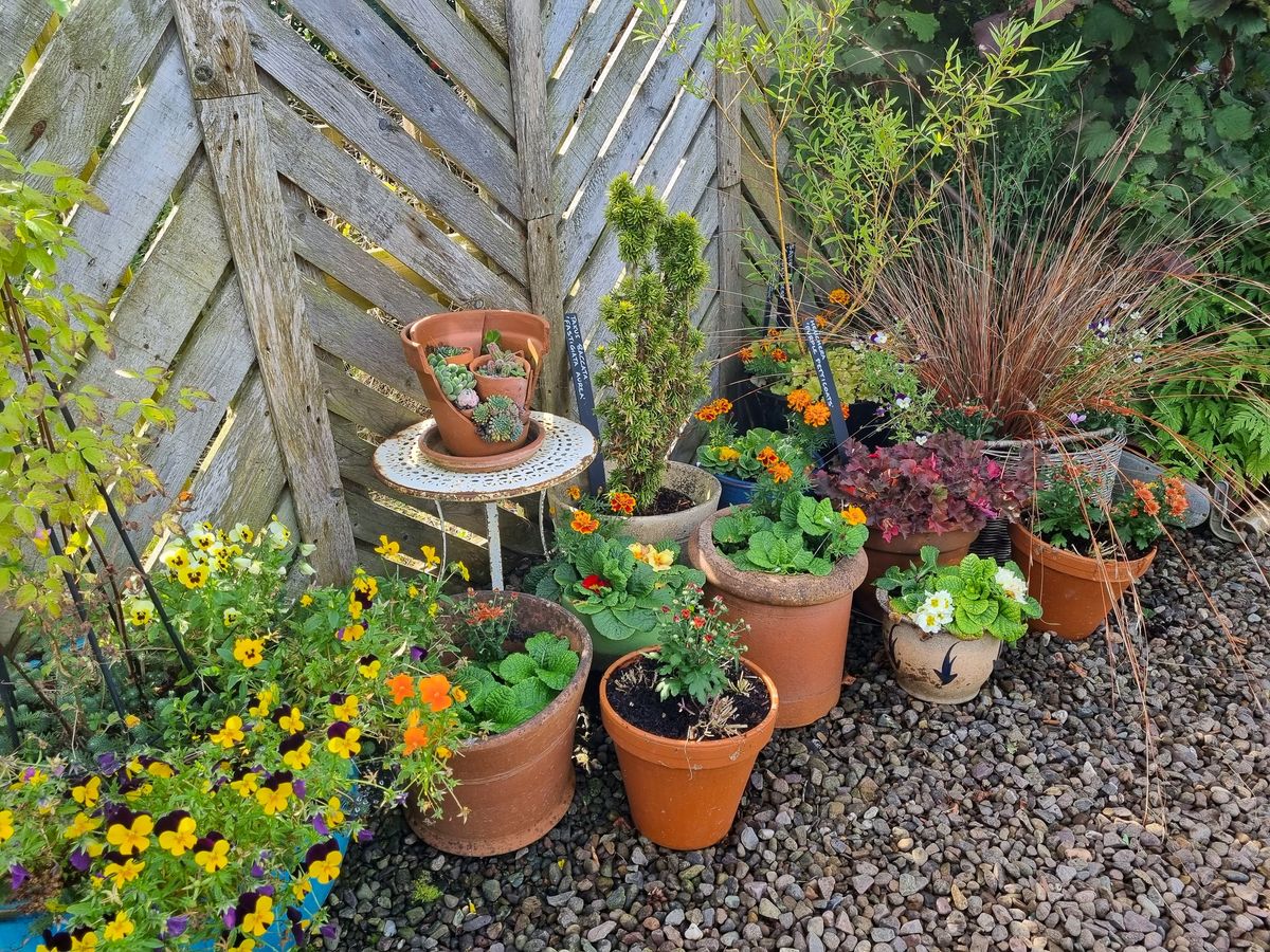 Colourful Containers through the year Workshop