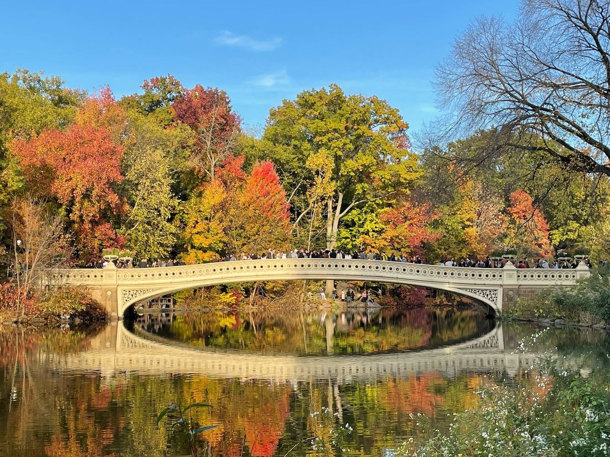 The LENS Method: Mindful Photography Workshop\/Nature Walk + TOTG brunch