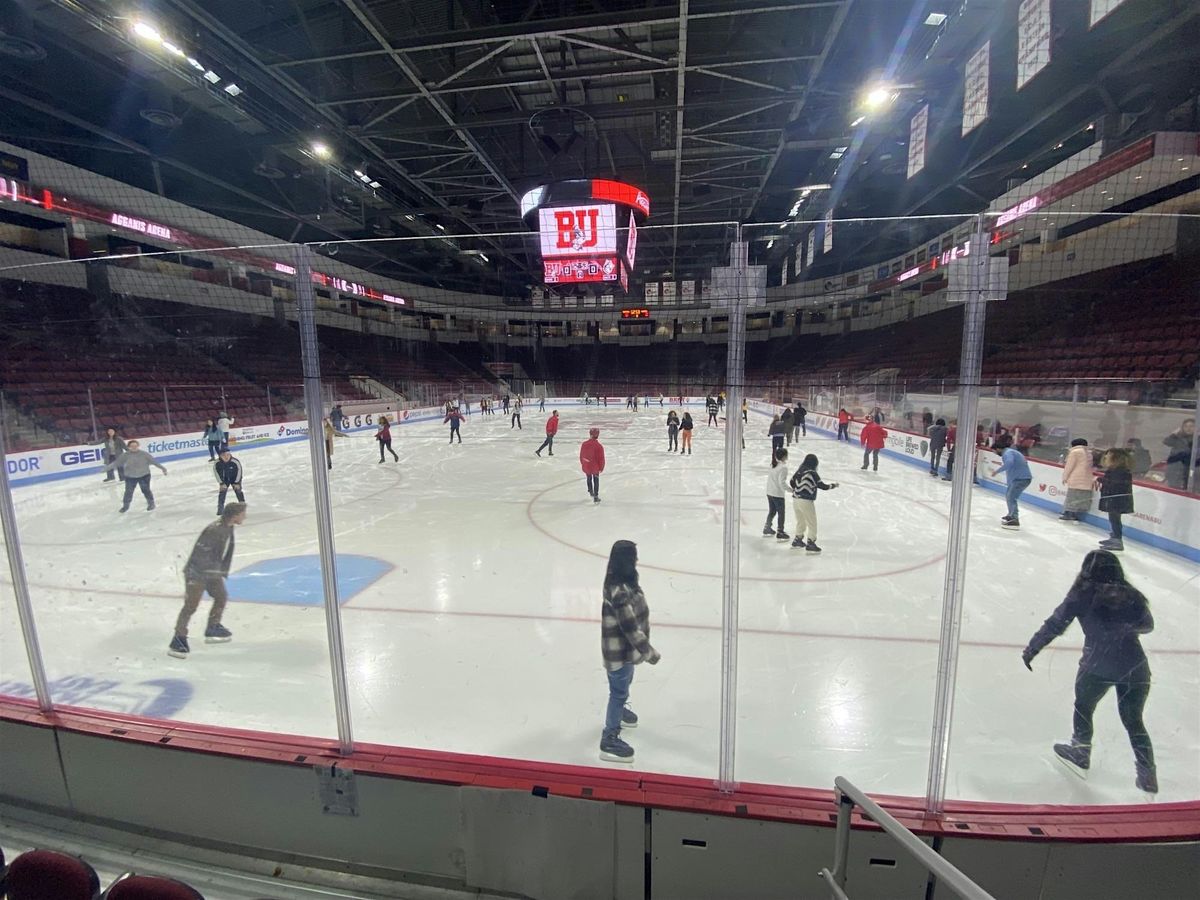 Hockey 101 & Open Skate Event
