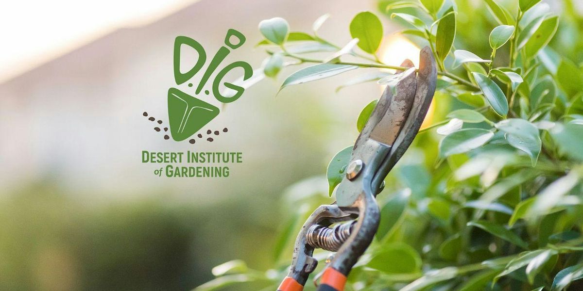 DIG IN-PERSON: Max Shade! - Unfurling Gaia's Umbrella - Pruning & Tree Care