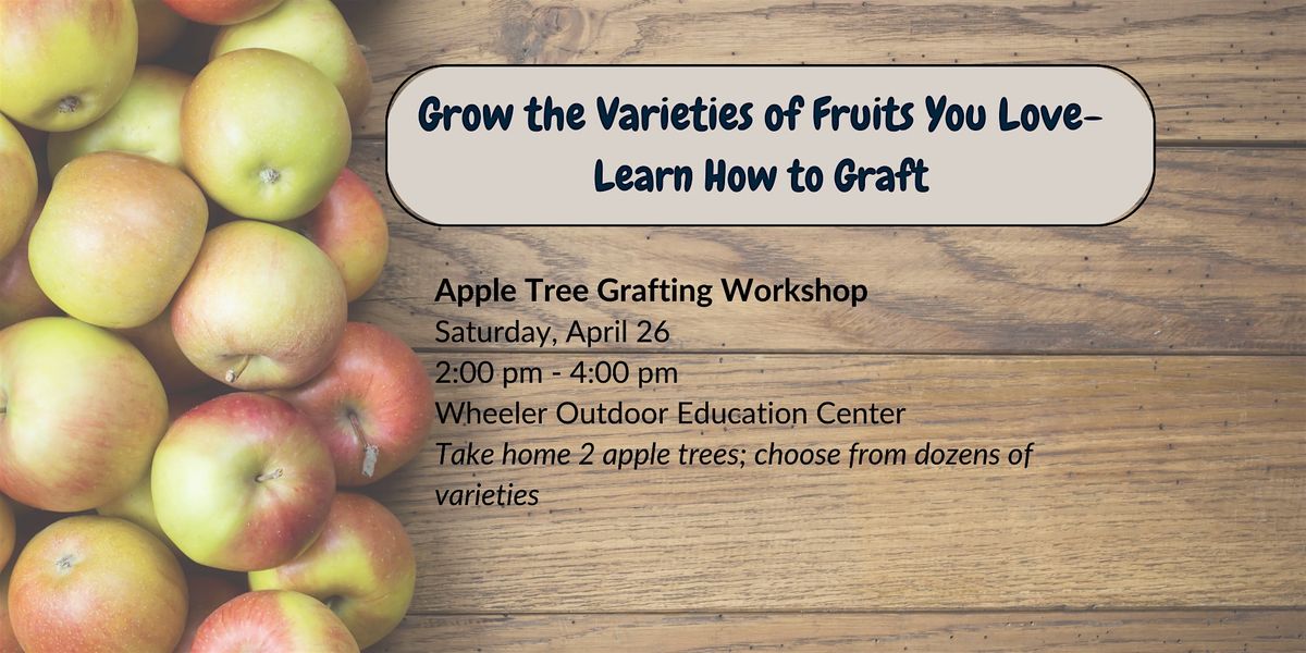 Apple Tree Grafting Workshop