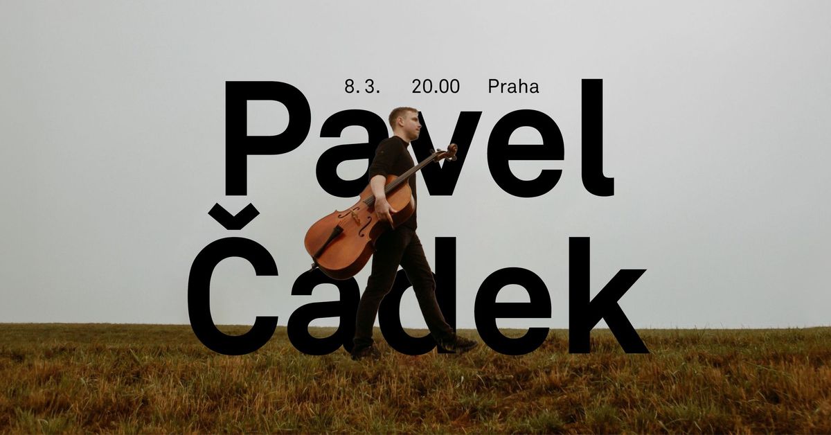 Koncert Pavla \u010cadka