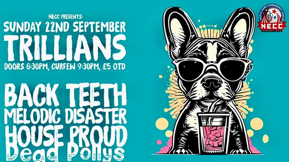 Back Teeth \/ Dead Pollys \/ Melodic Disaster \/ House Proud