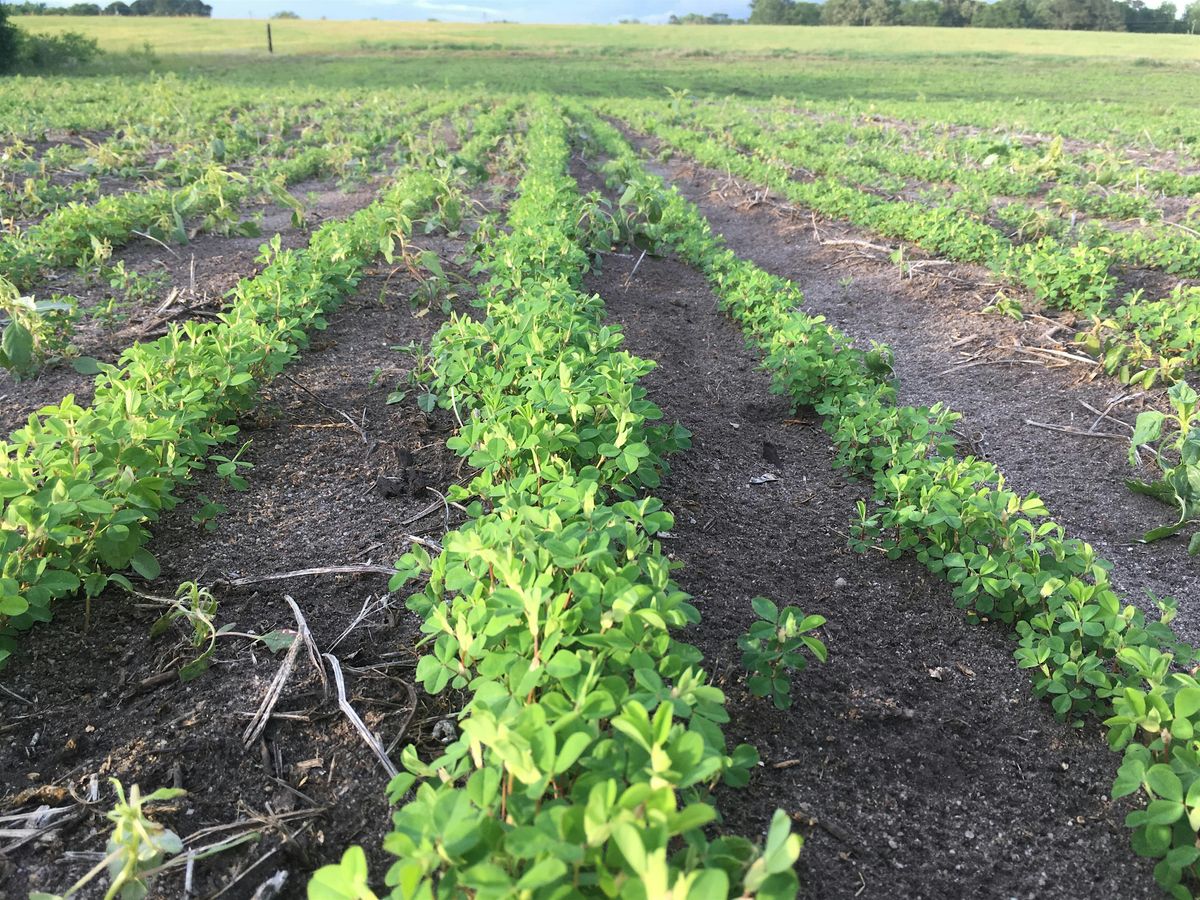 Pasture & Forage Winter Meeting - Pitt County