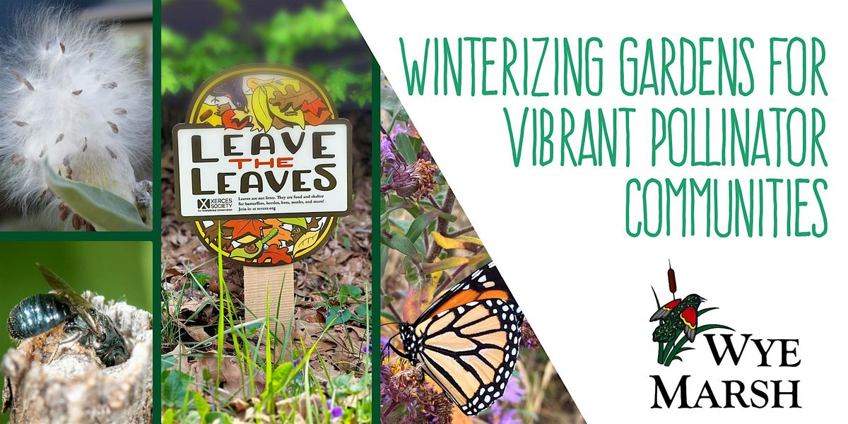 Winterizing Gardens For Vibrant Pollinator Communities