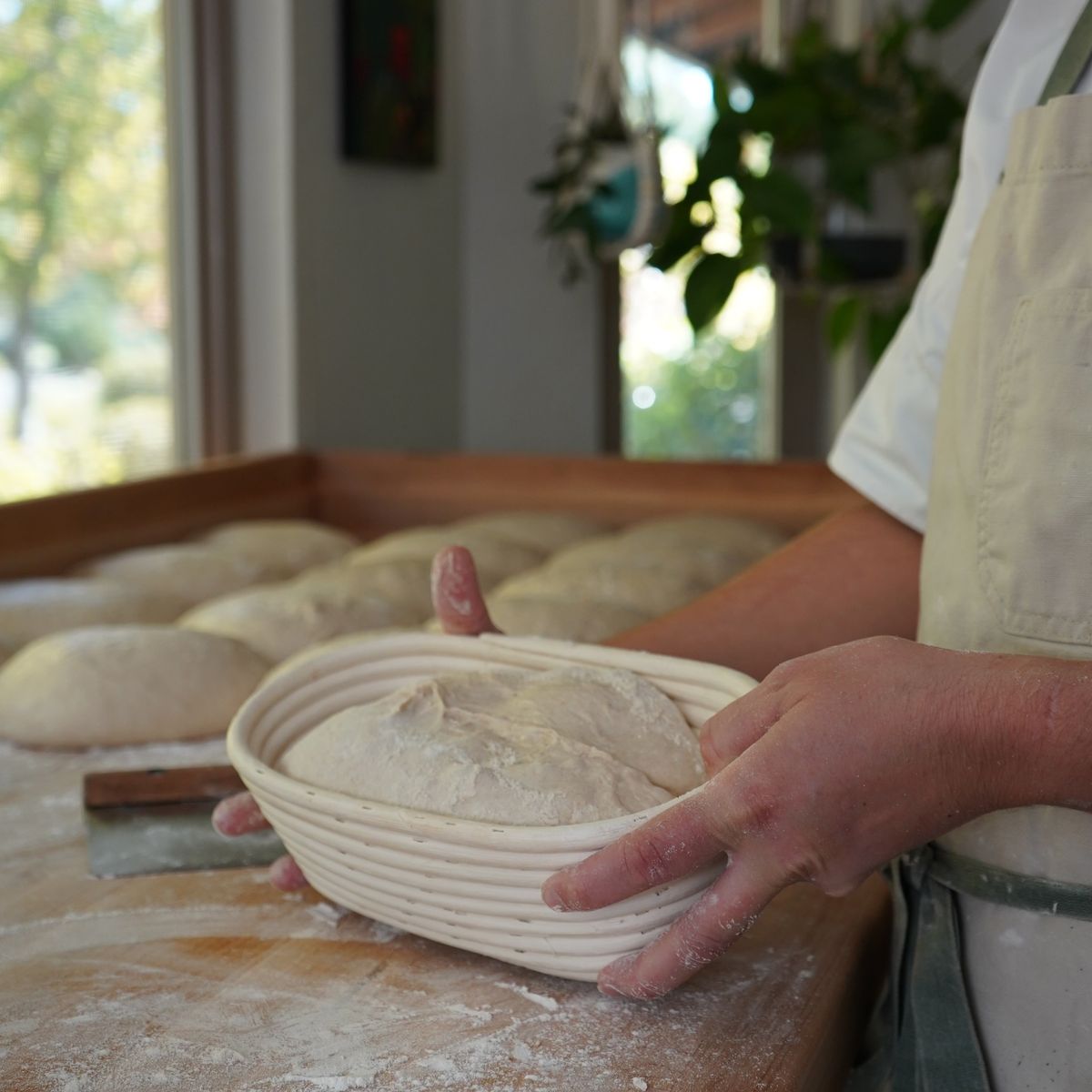 Sourdough Bread Class