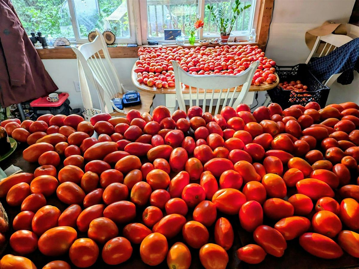 Heartbeat Farm Festa 2025