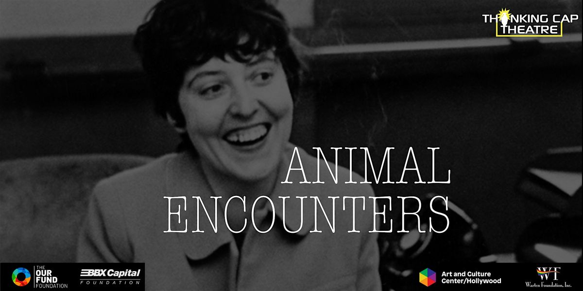 Animal Encounters | A Pop Up Play Reading