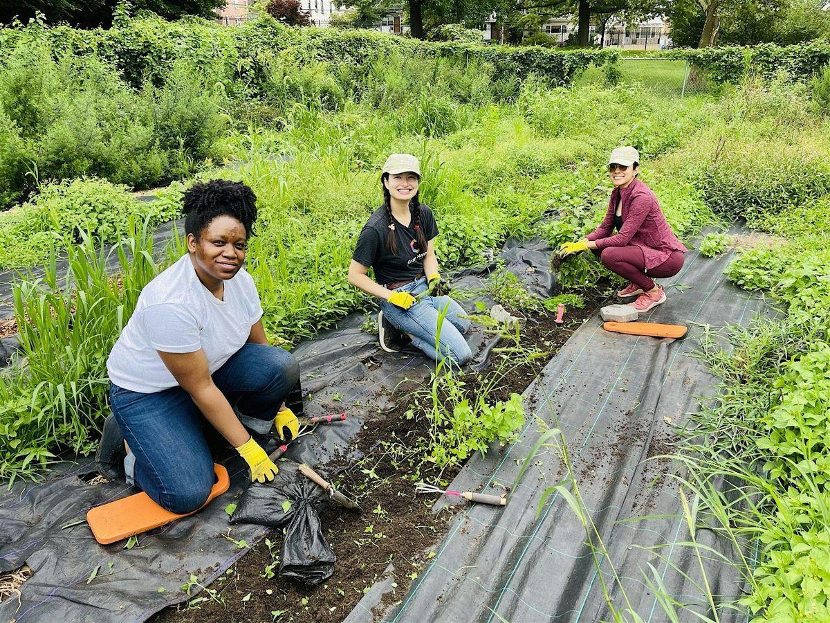 Saturday Volunteer & Learning Day on the Souper Farm 9\/6