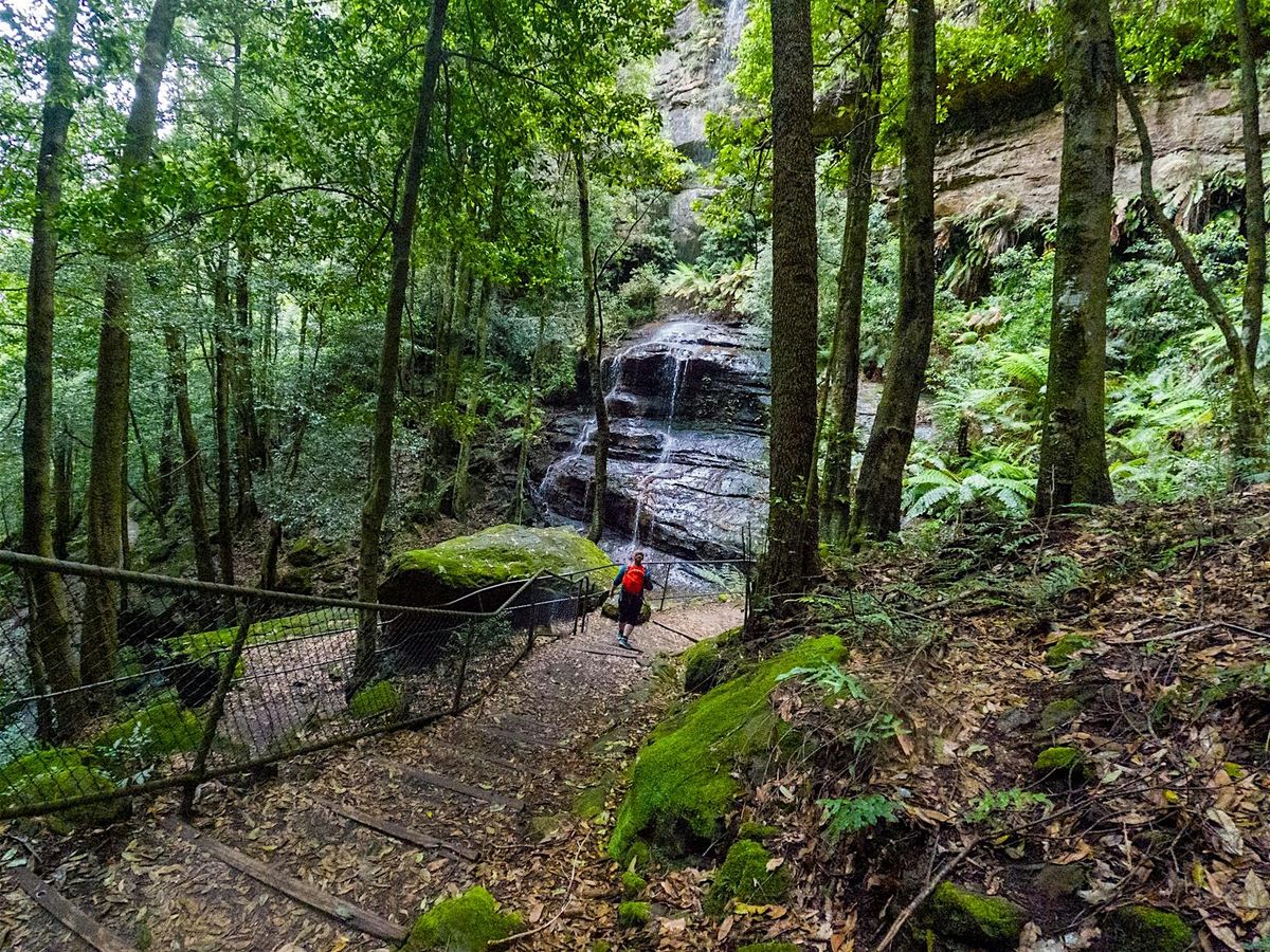 Women's Katoomba Round Walk + Katoomba Falls Walk \/\/ Saturday 11th January